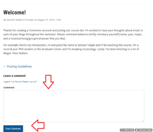 Screenshot of the Welcome blog post demonstrating the comment box at the bottom of the page